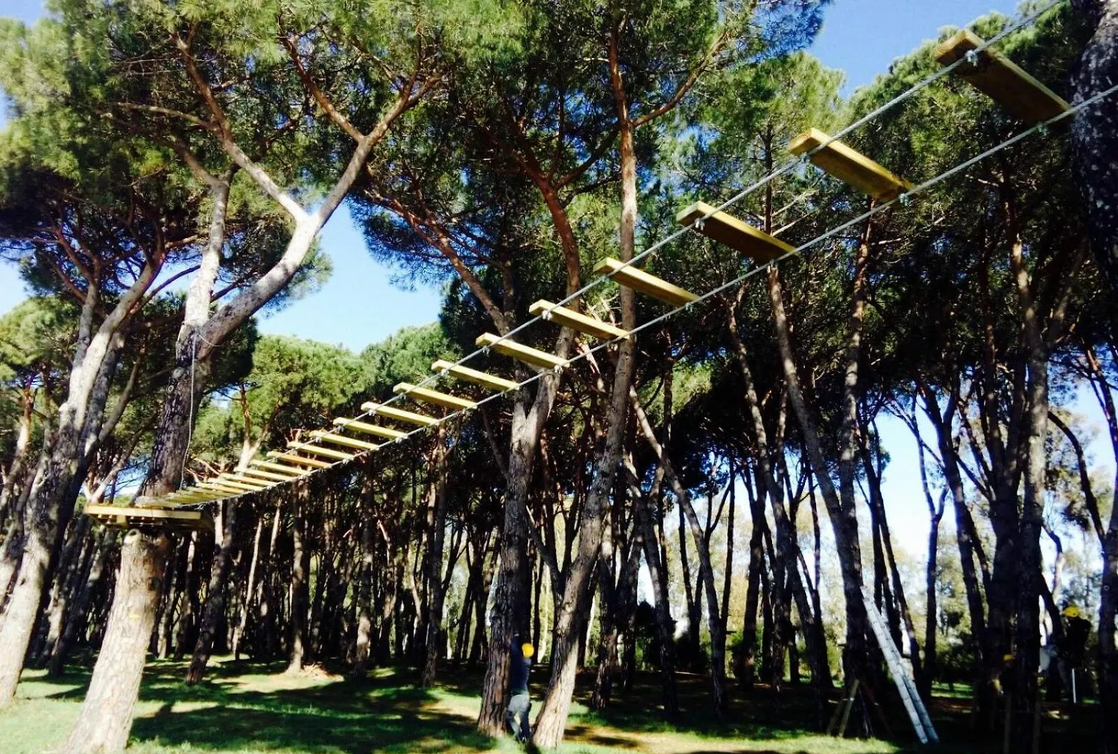 Casa Clori, Quiete Immersa Nel Verde! Villa Fregenae Italy